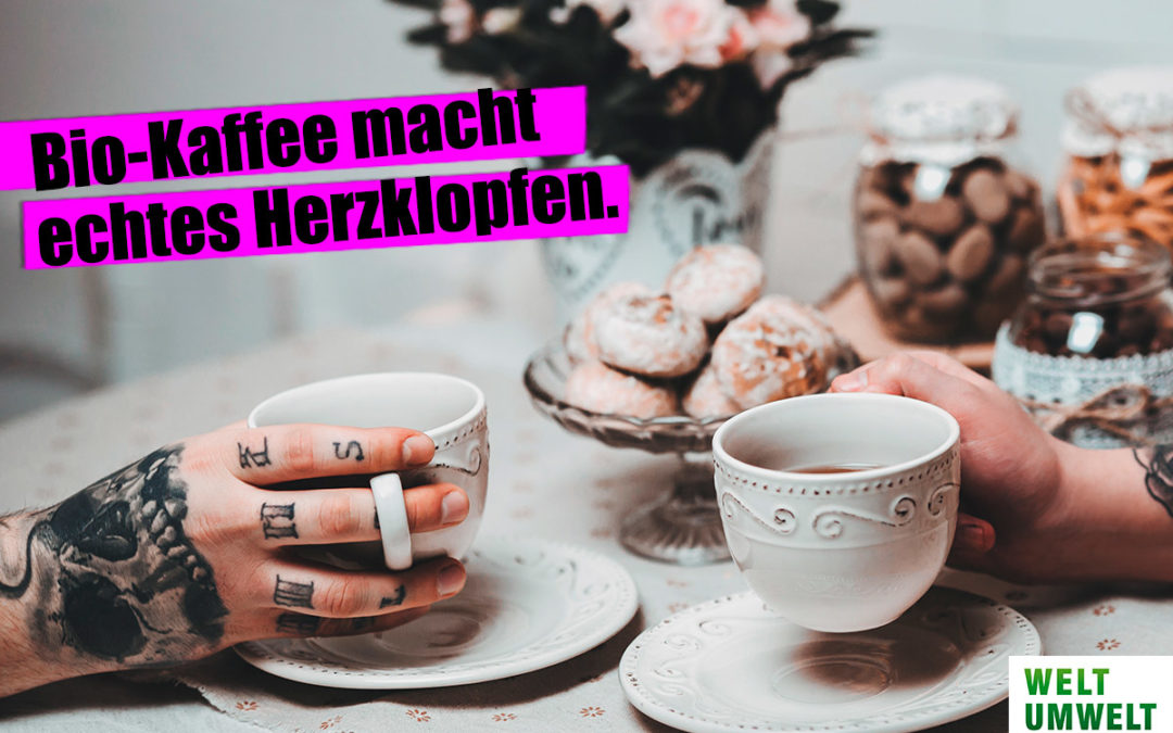 Prem Frischkaffee