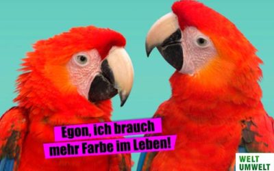 Umweltfreundliche Farben